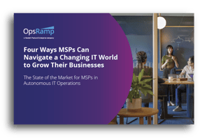 MSP_Report_Cover_2024